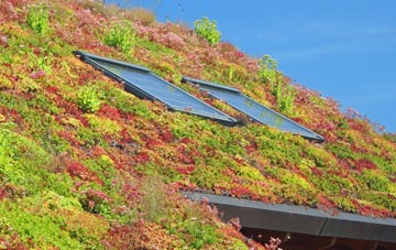 Old Langho living roof systems